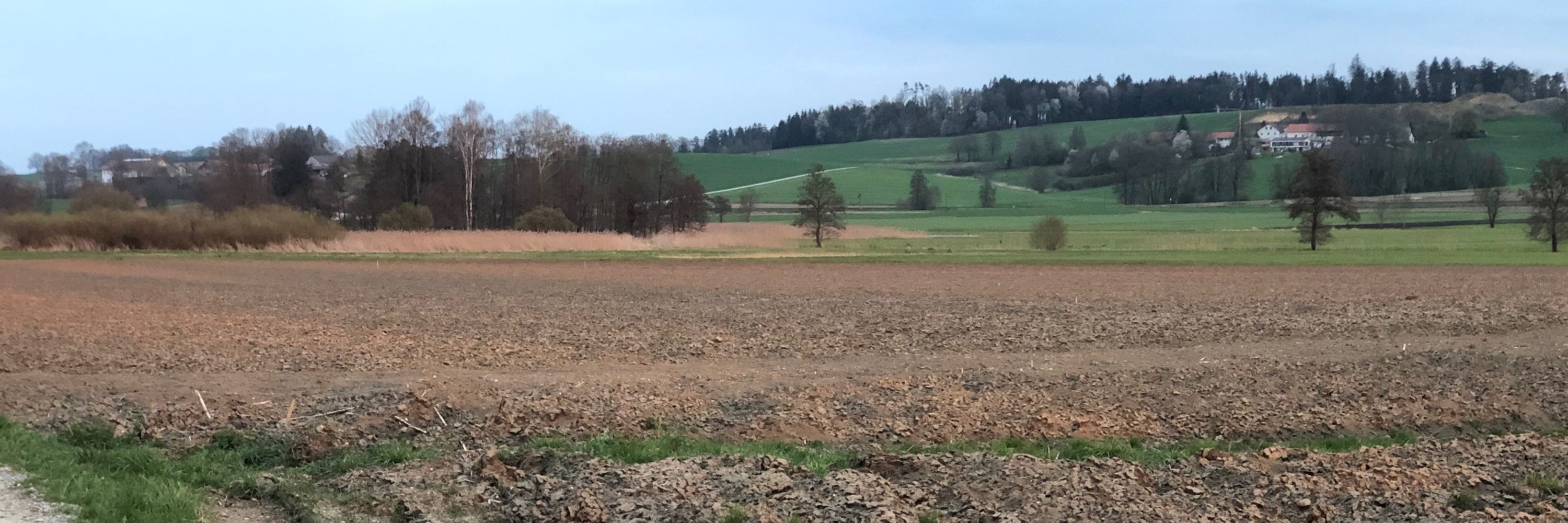 Hanswurscht, der Mai ist gekommen -Ära