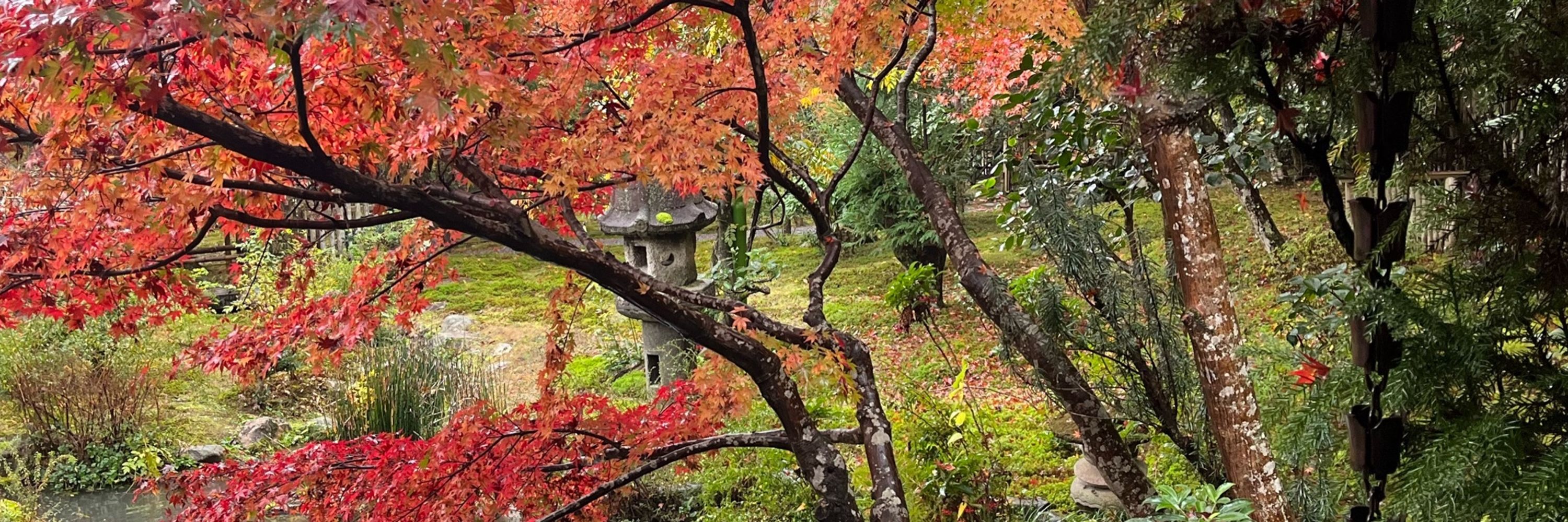 Yayoi Sekine