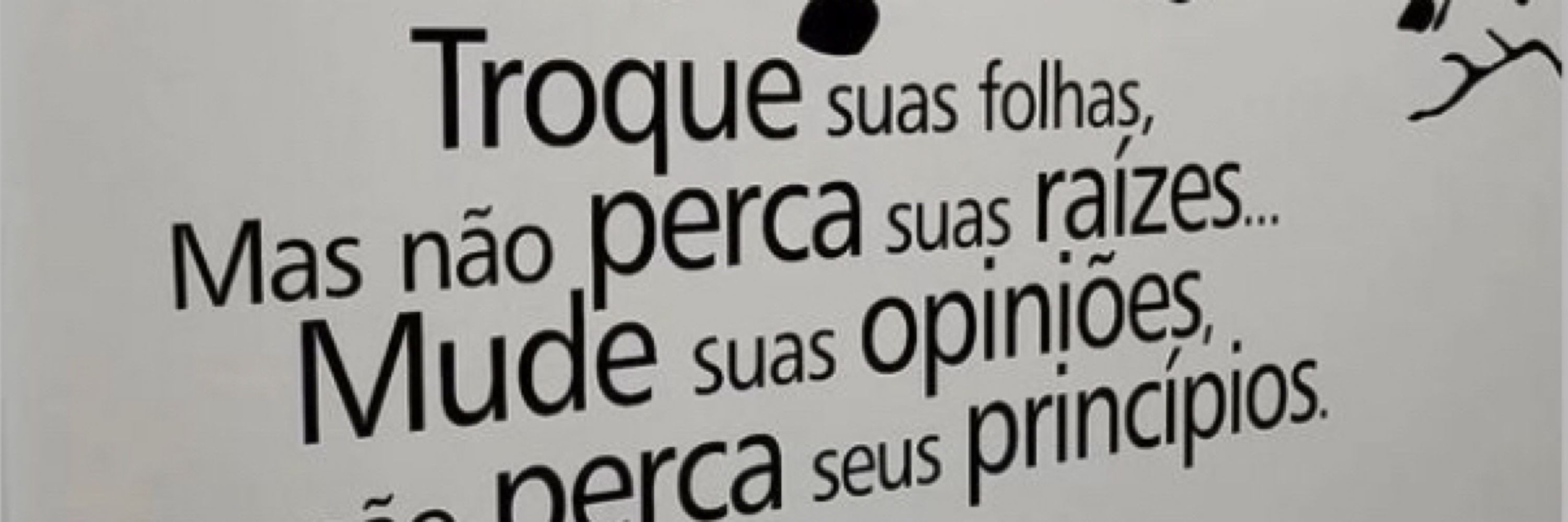 Ricardo Mucio Faria