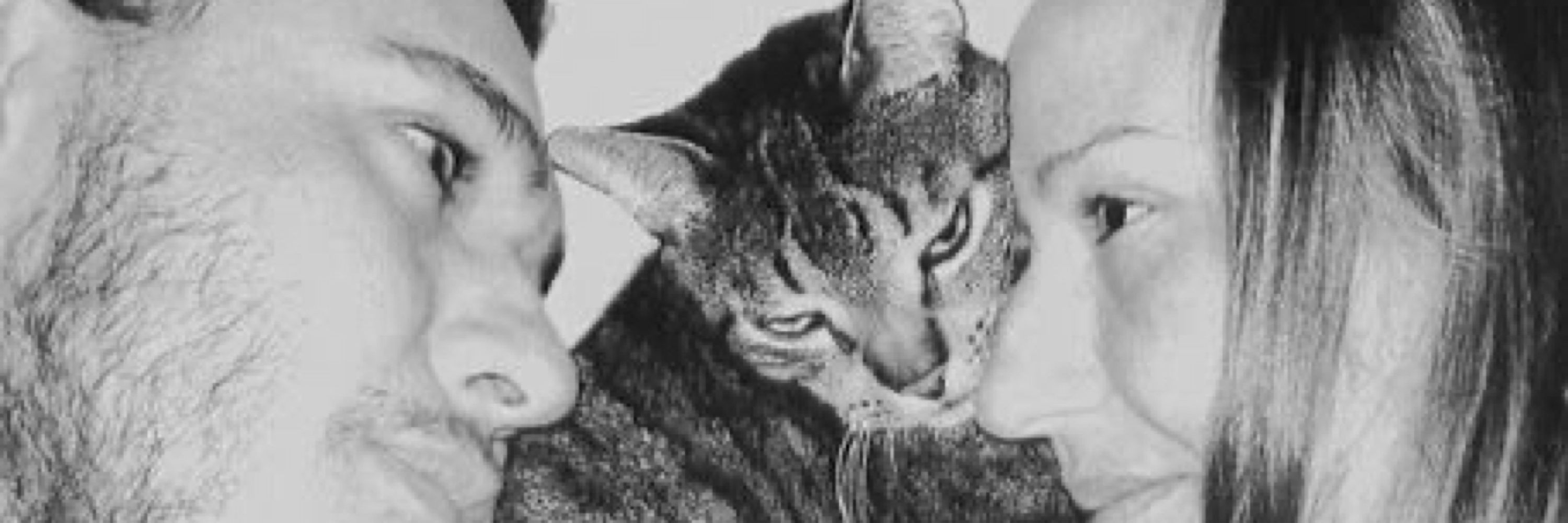 😴