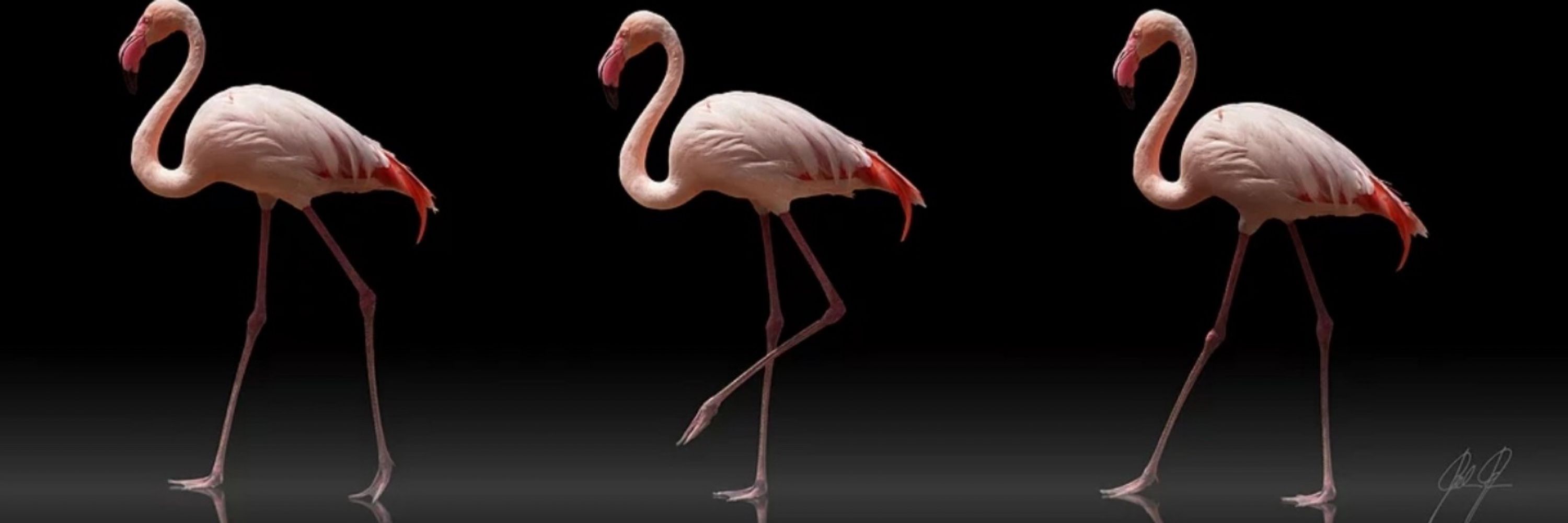 Soft Sensual Erotic