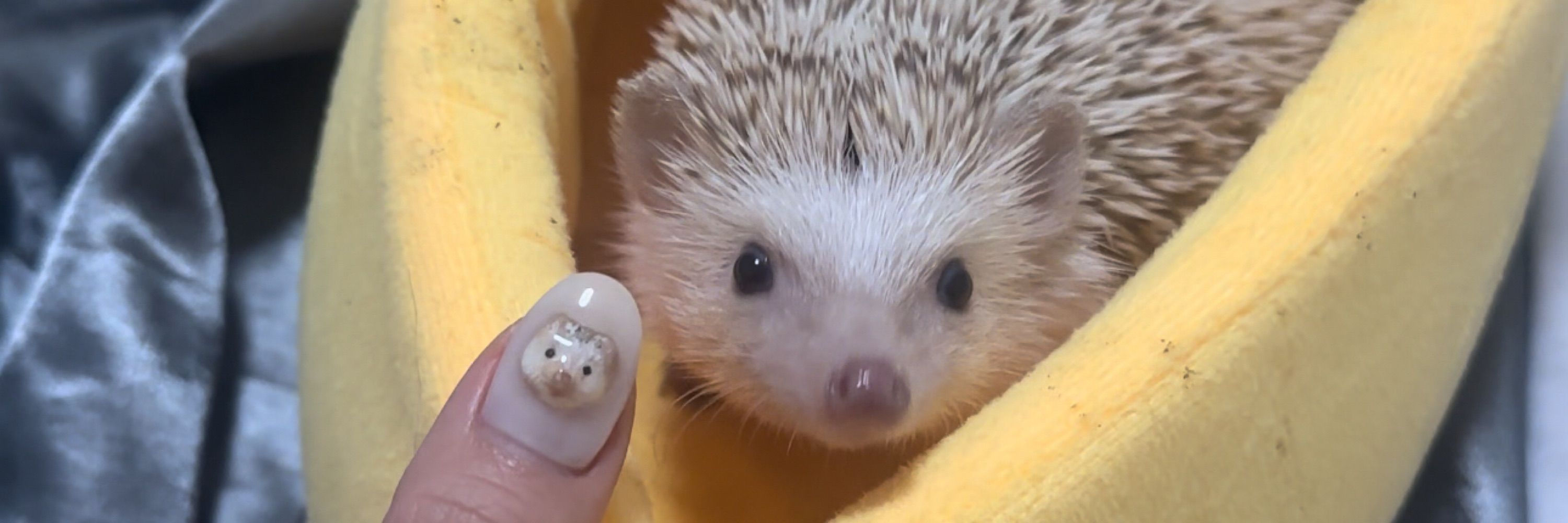 ウララ