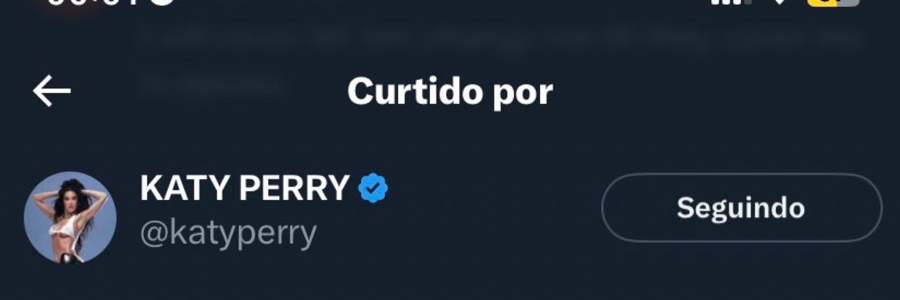 Ana. A KATY PEGOU MINHA BANDEIRA 