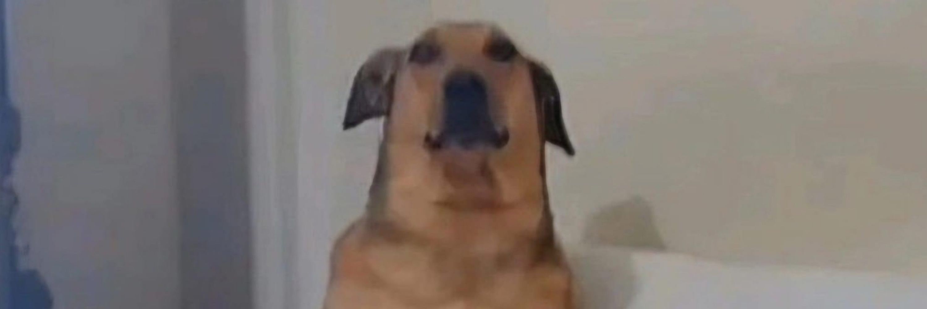 Vick
