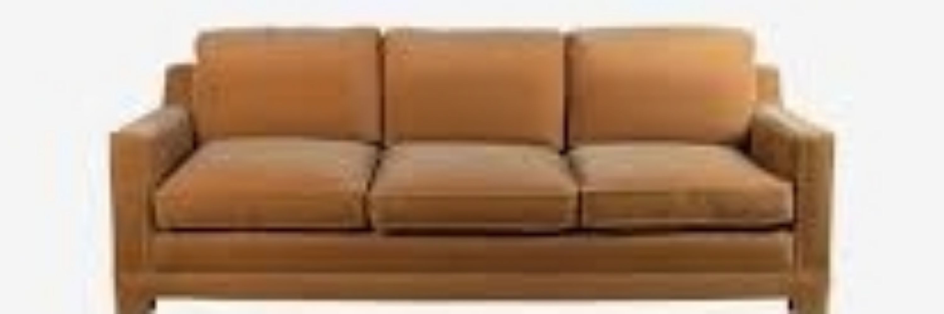 Couch Dog