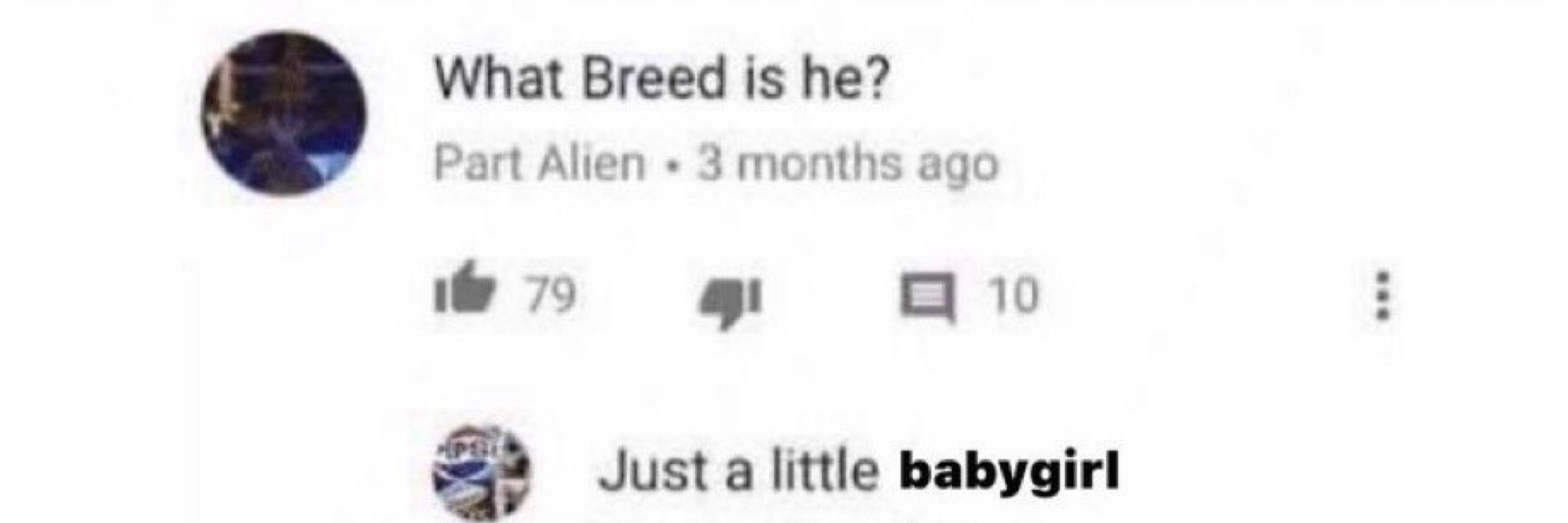 hafsie