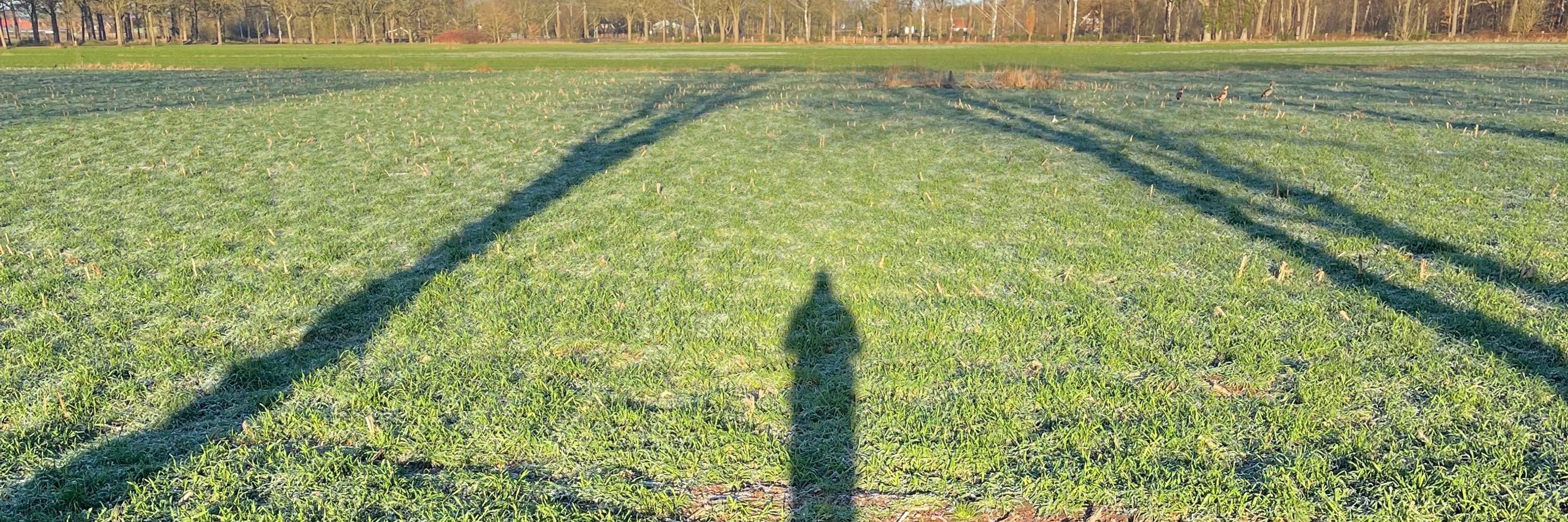 Sjoerd Rinsma
