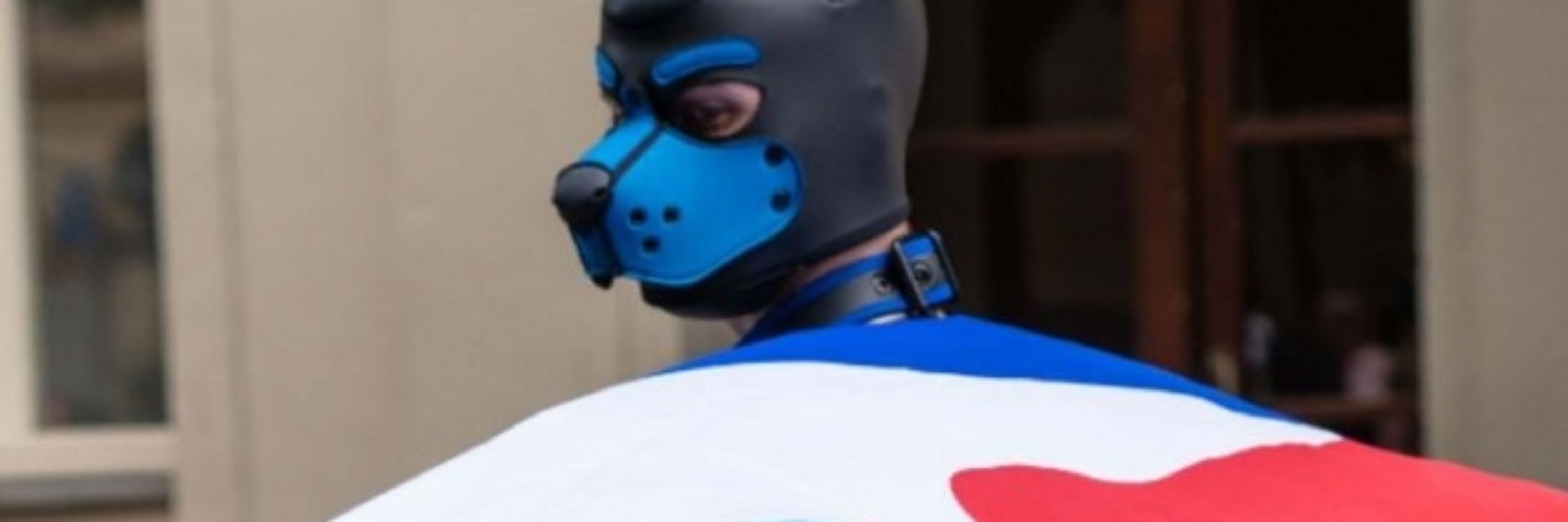 Pup Inper