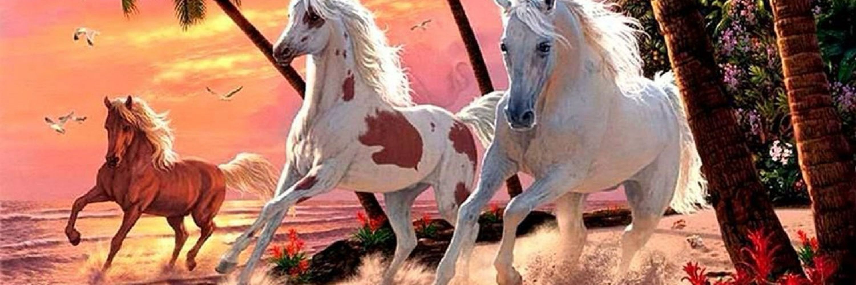 Casey Boyd