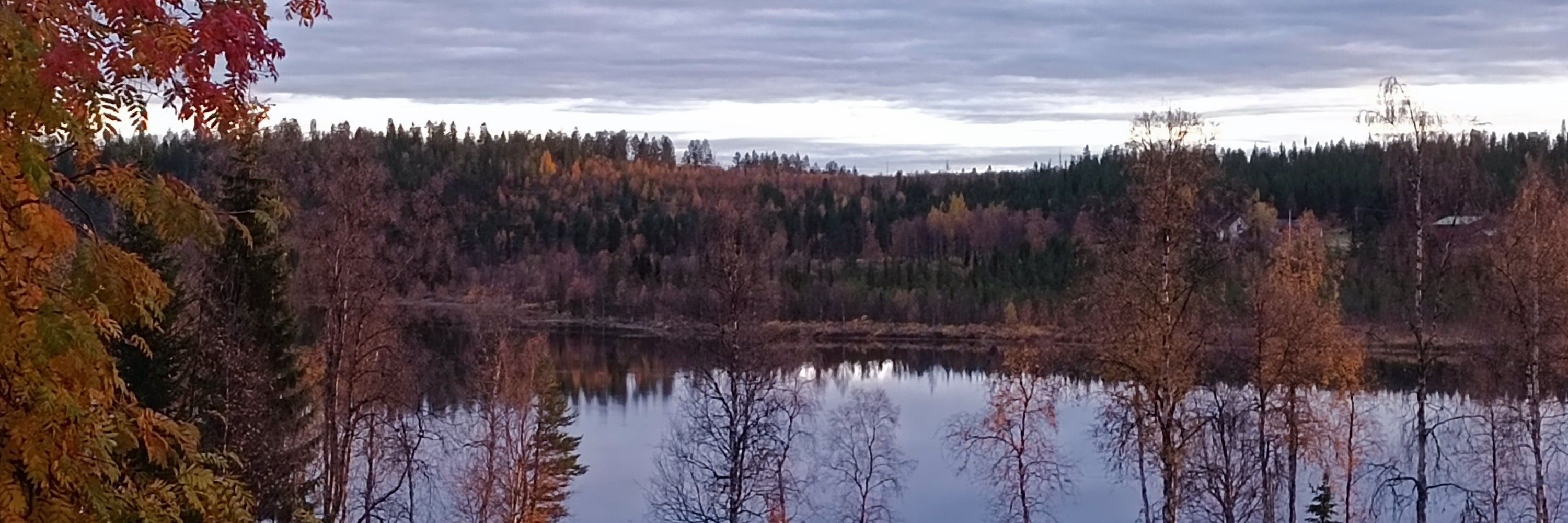 Häijykatti