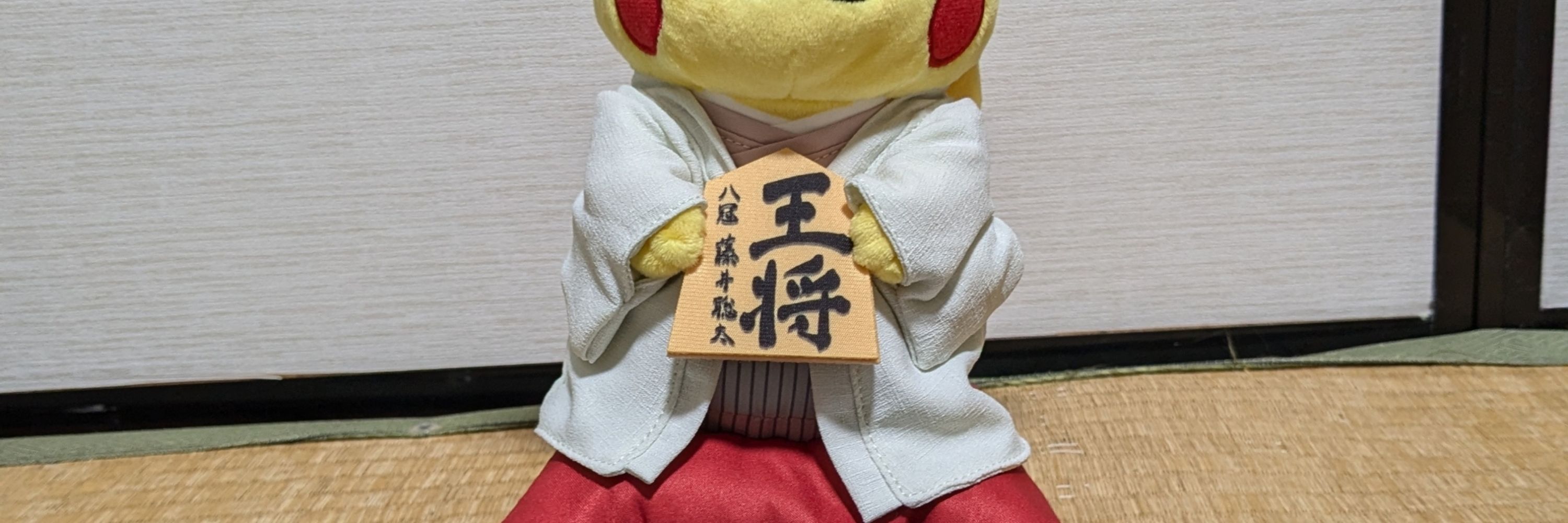 八冠ピカチュウ&カイリュー