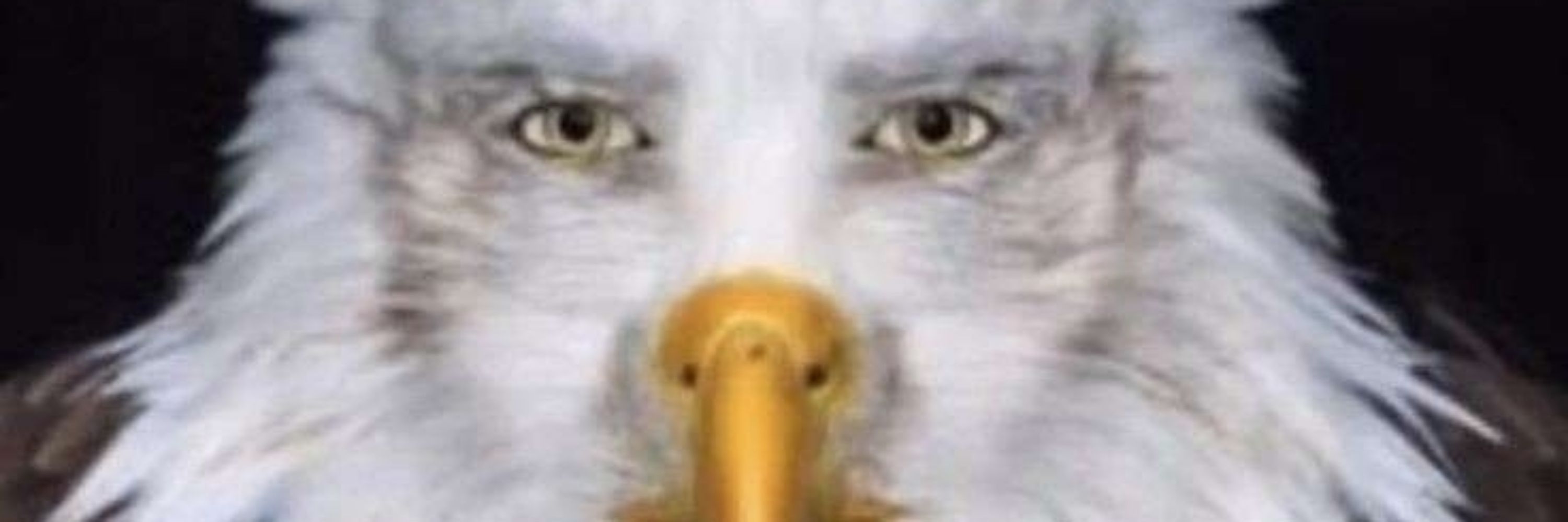 Salaminho