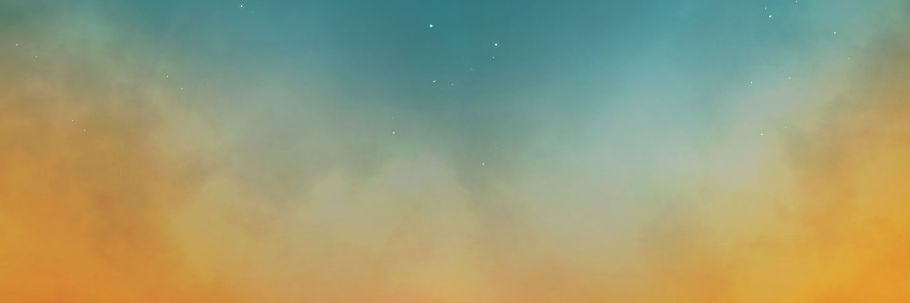 a bird