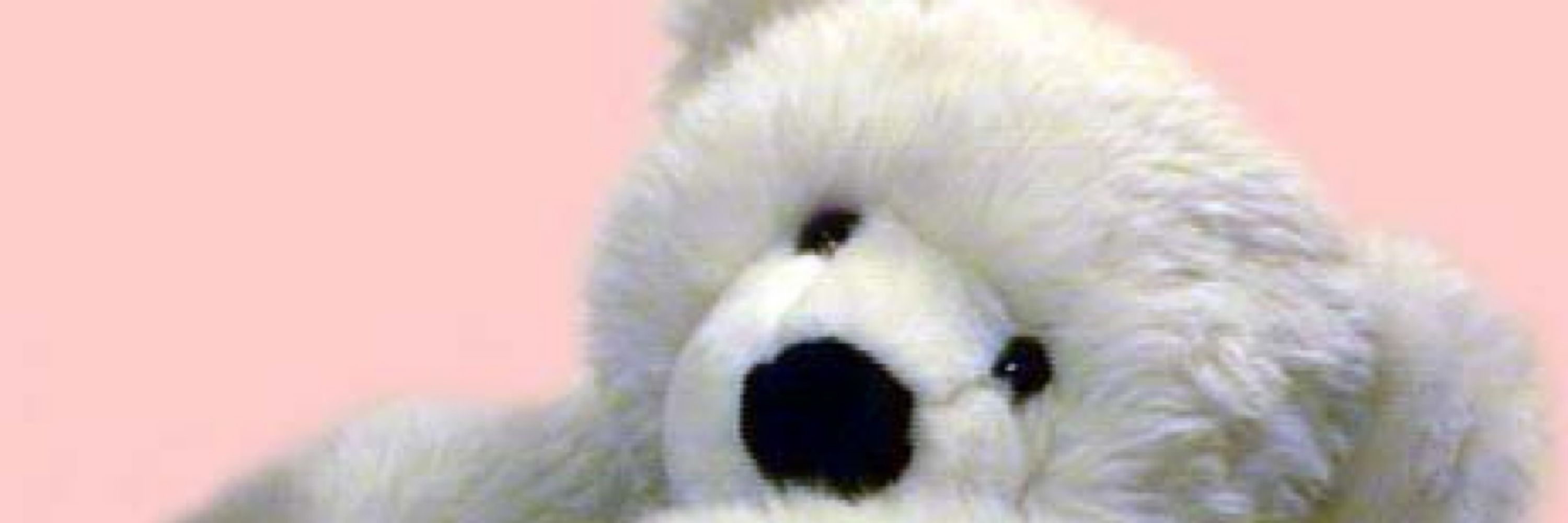Ted De-Bear MP
