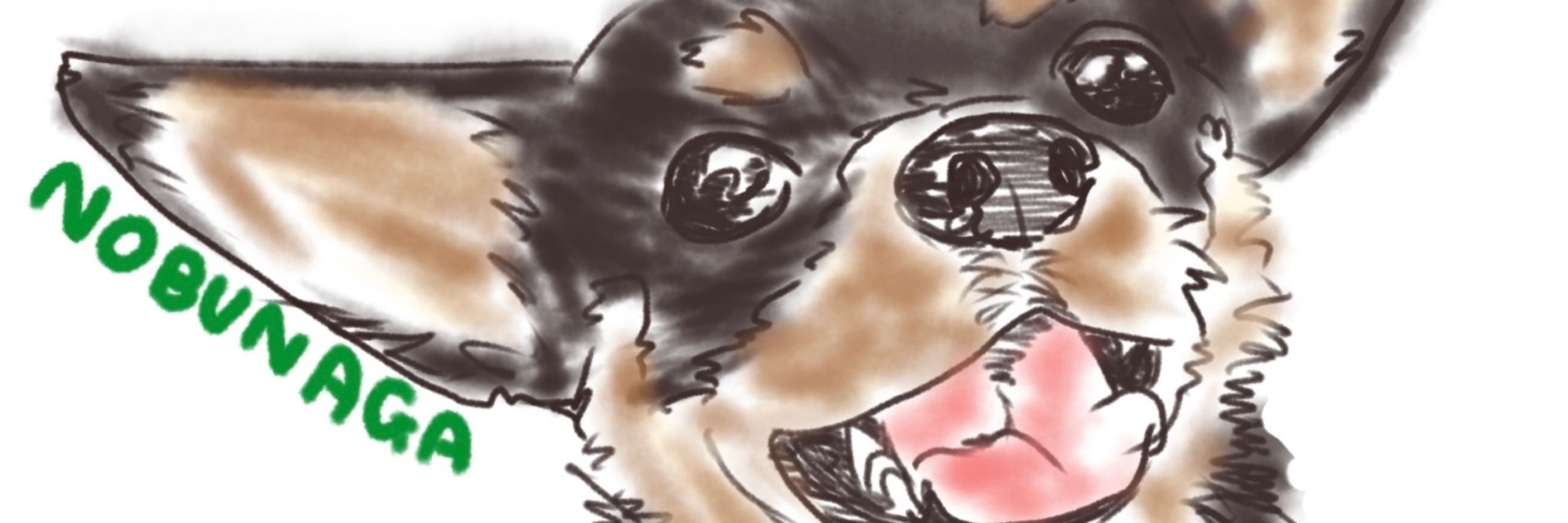 犬志