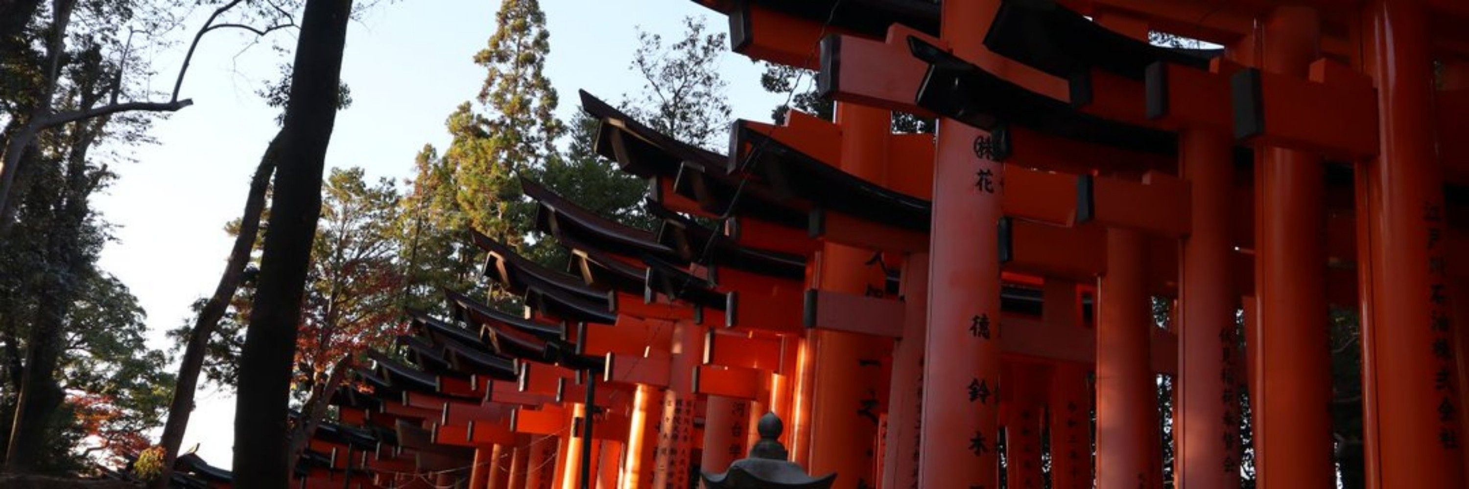 瑞⛩️木