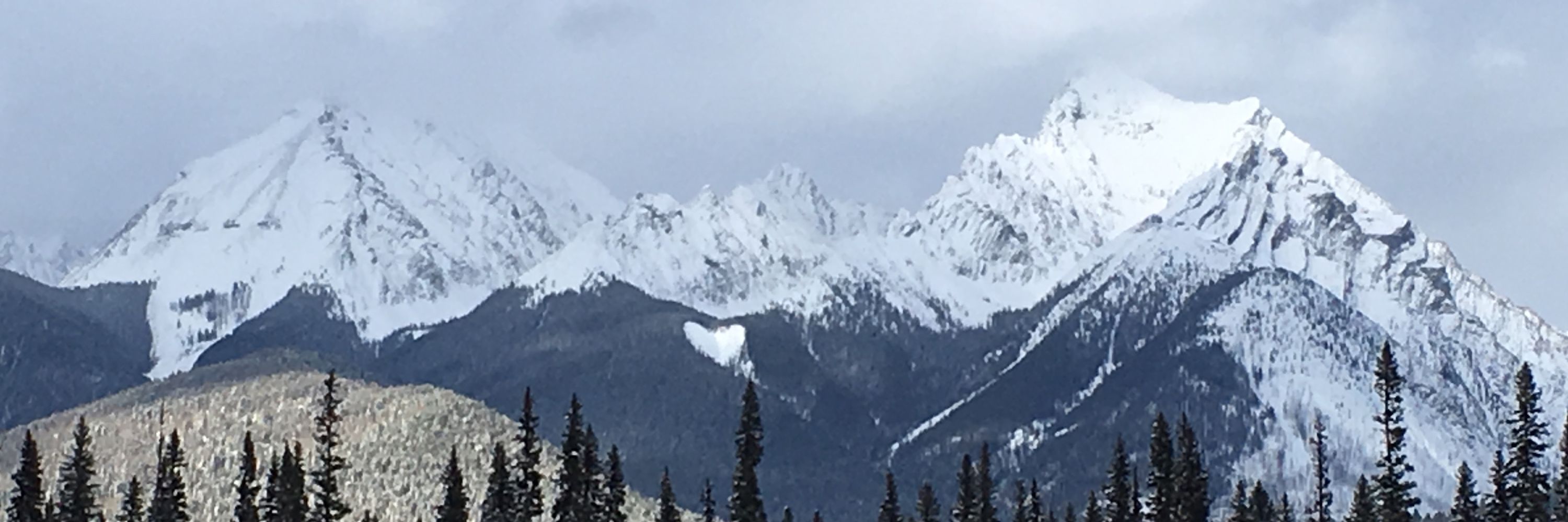 Small Mountain Bear