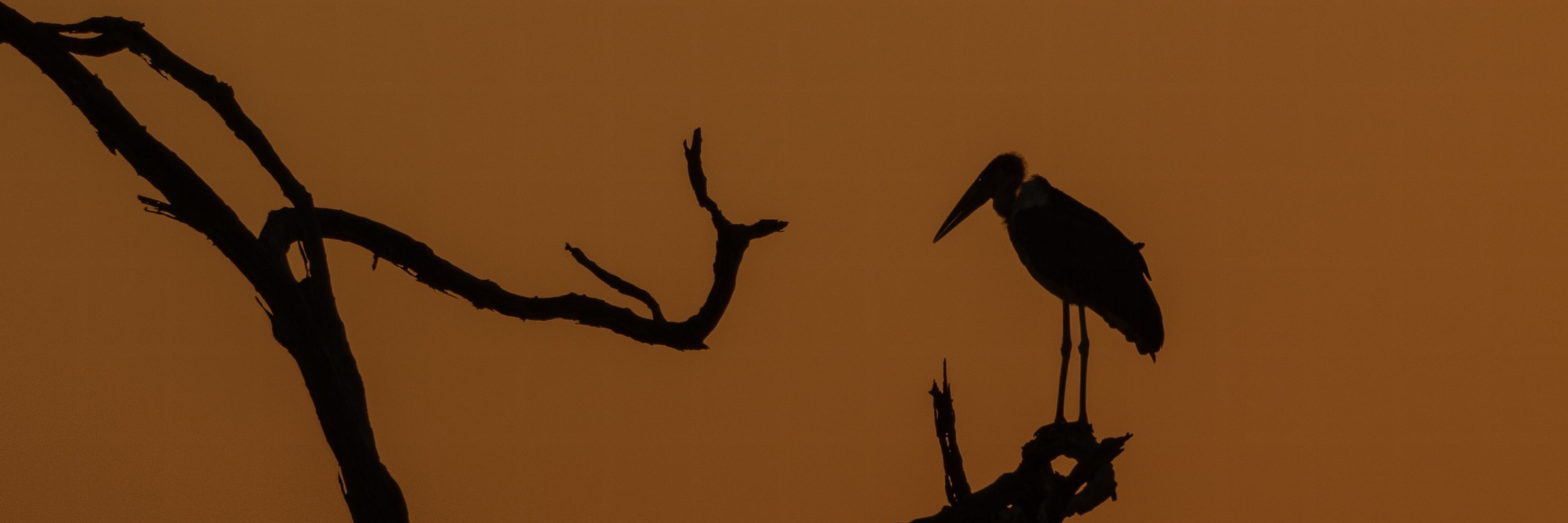 B&H Photography