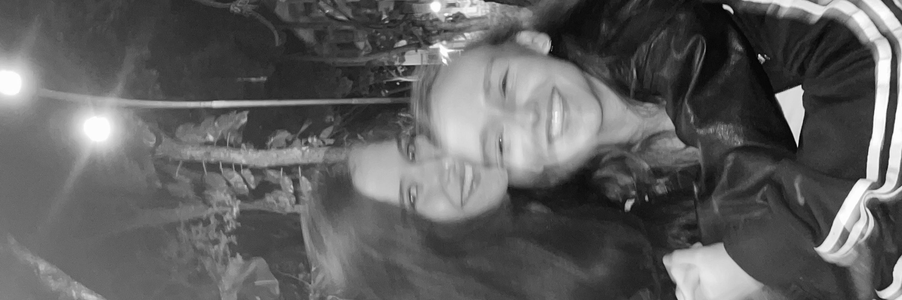 fer
