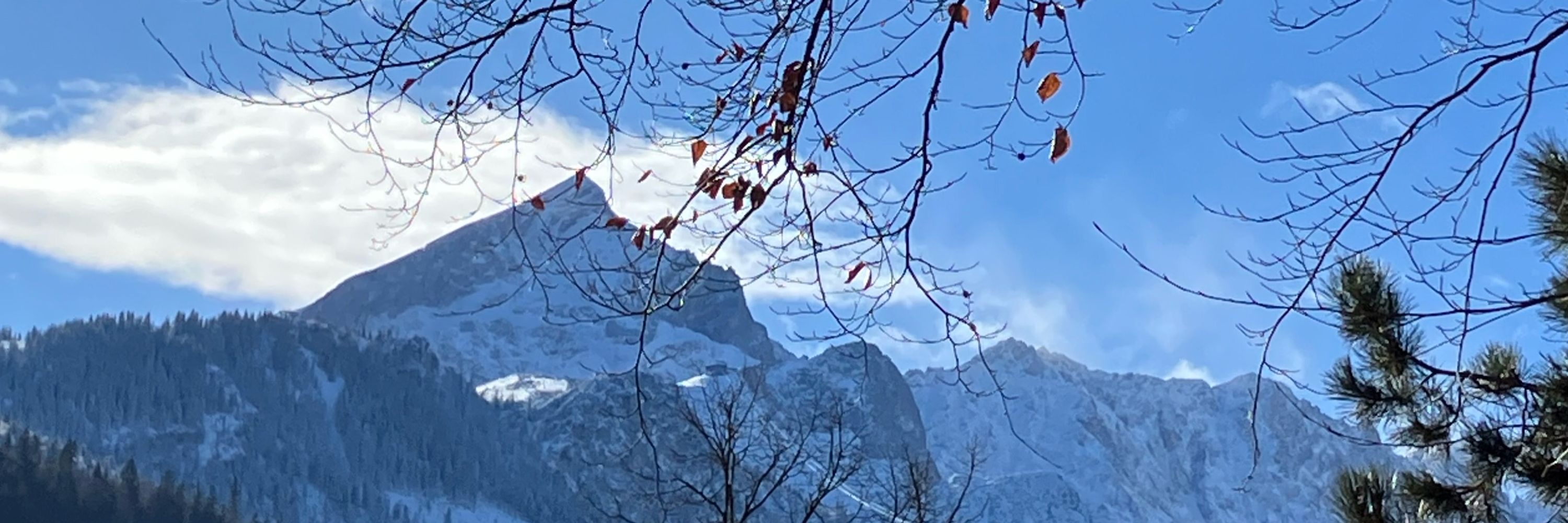 FrauFranke