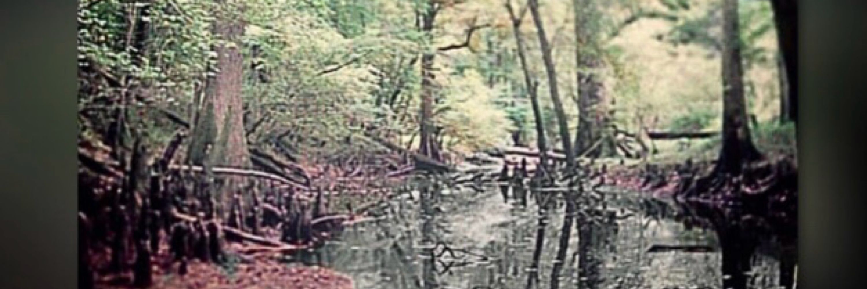 S. Decorius Flood