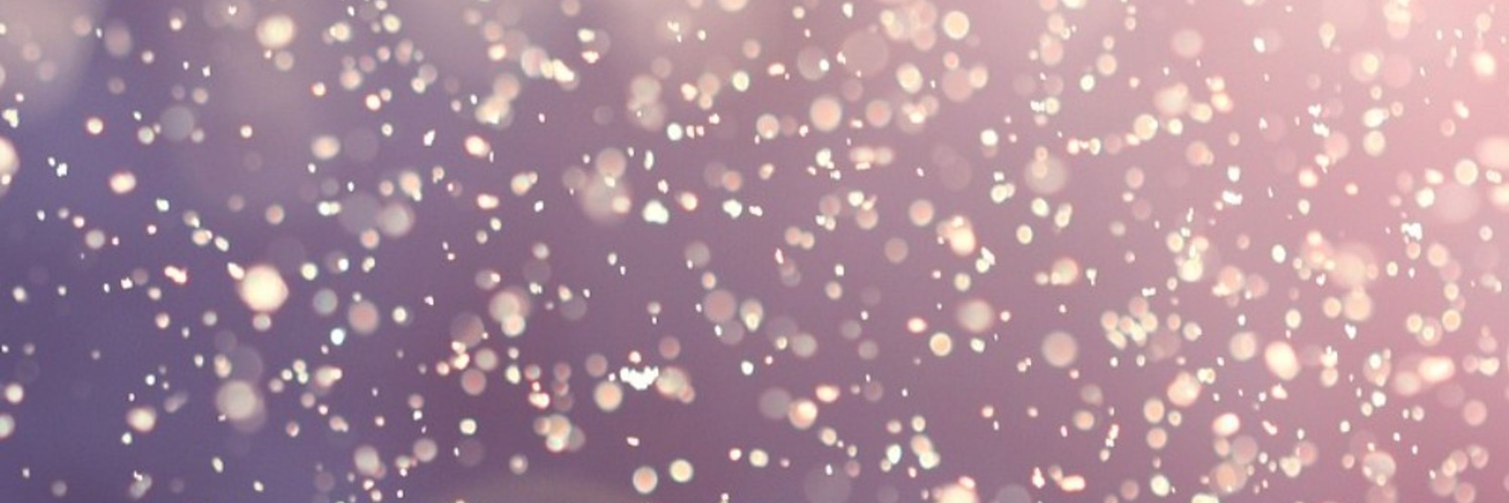 雨子