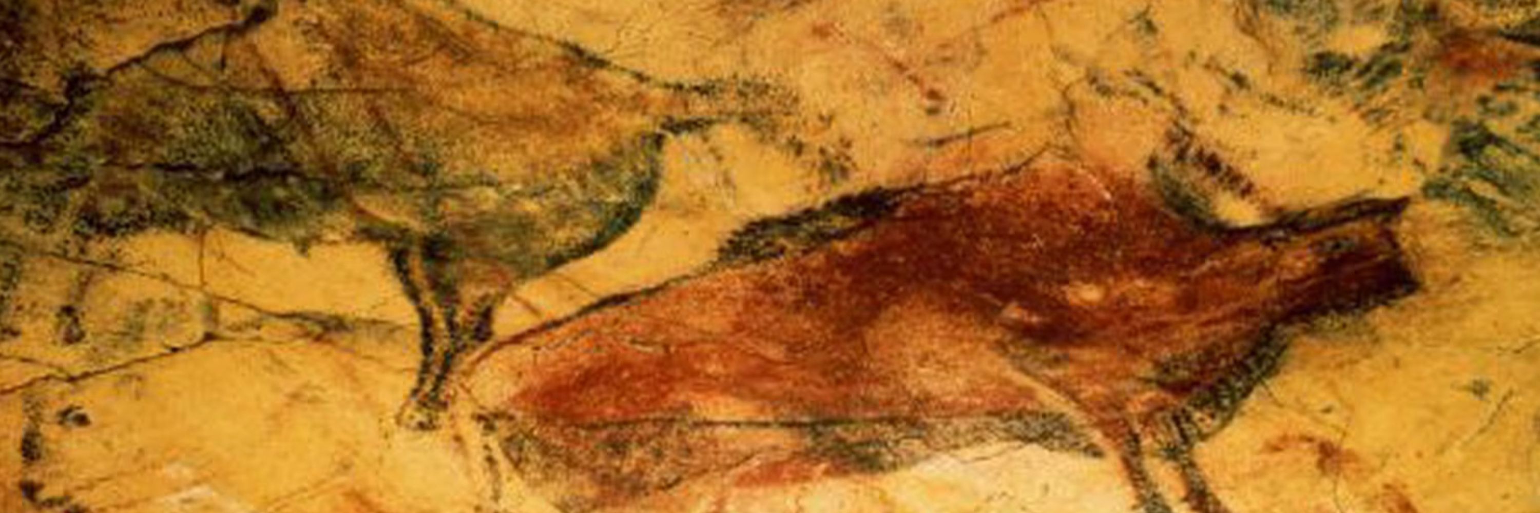 Conservation of Anger Momentum