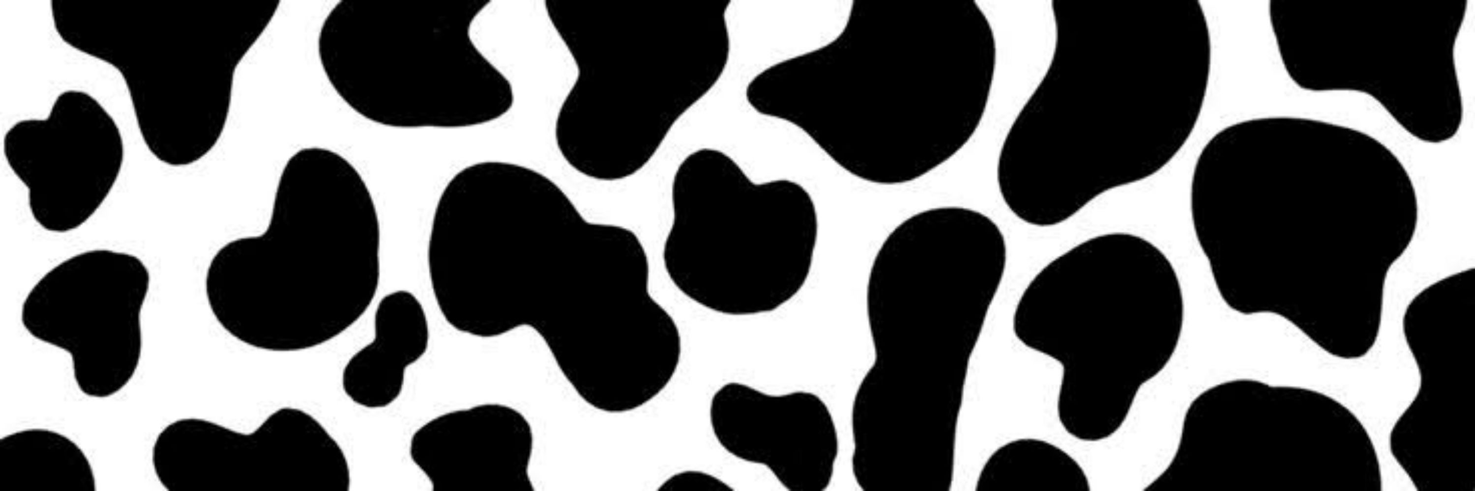 𓆩🖤𓆪 ─── 𝔹𝕀𝕋ℂℍ 𝕀'𝕄 𝔸 ℂ𝕆𝕎 🐮ྀི