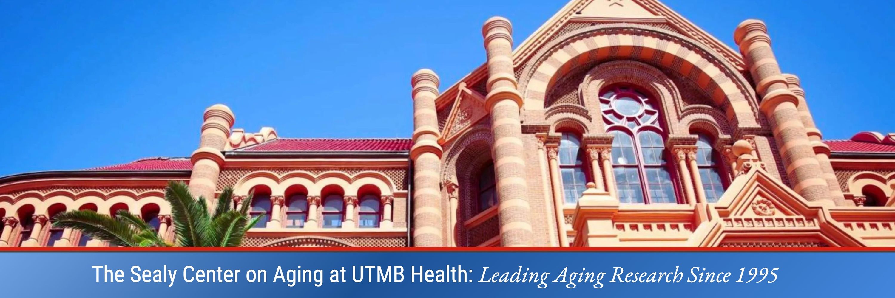 Sealy Center on Aging