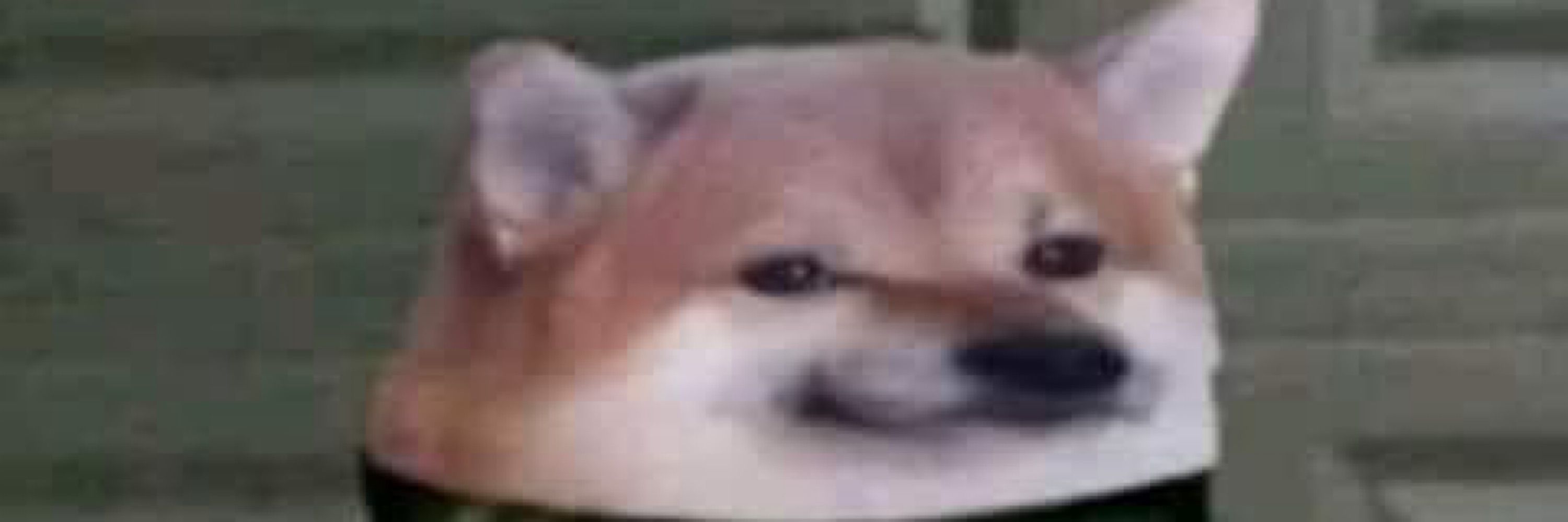 AaronDaDerg