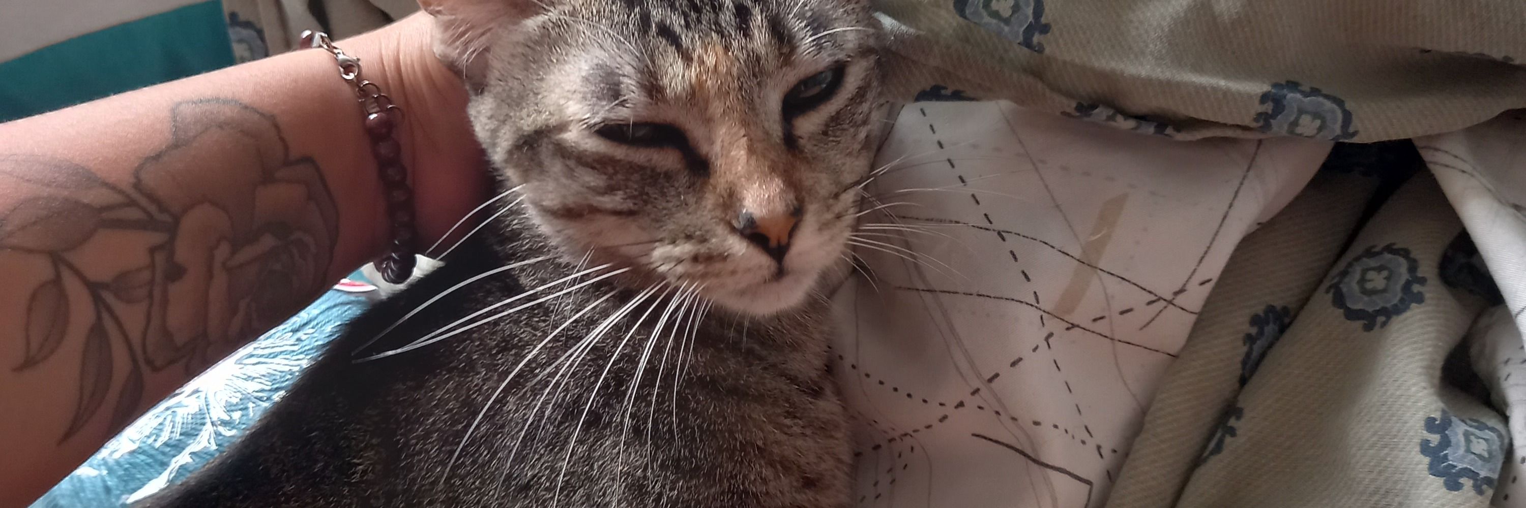 lila