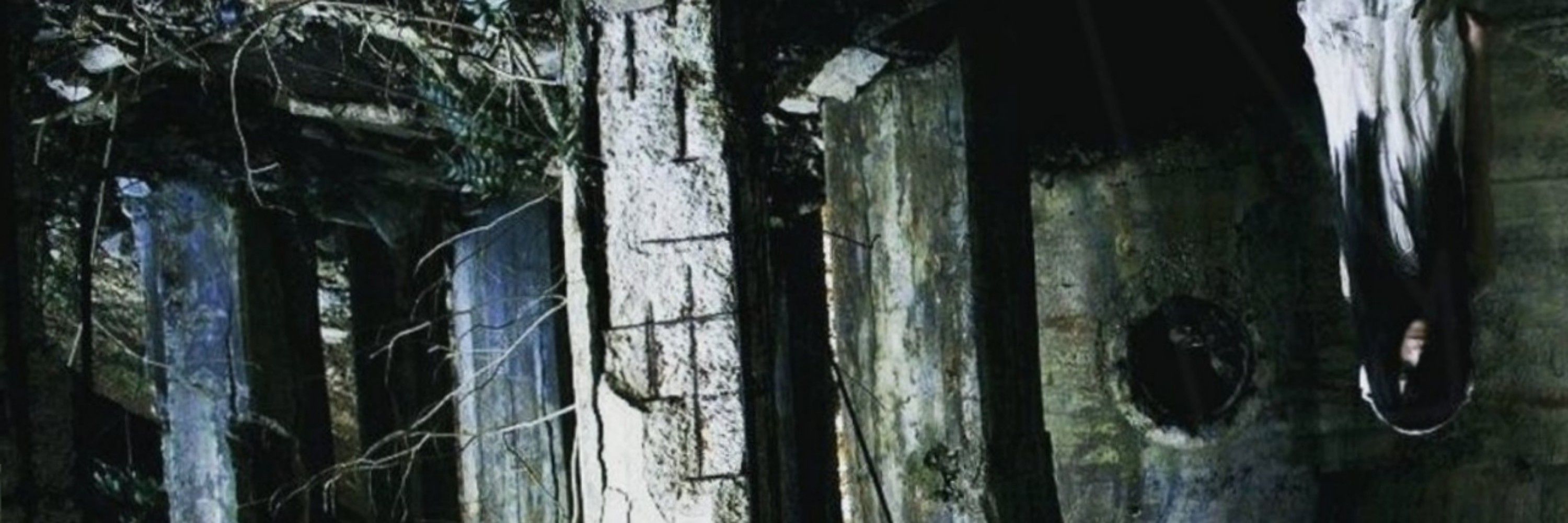 La.L.eye