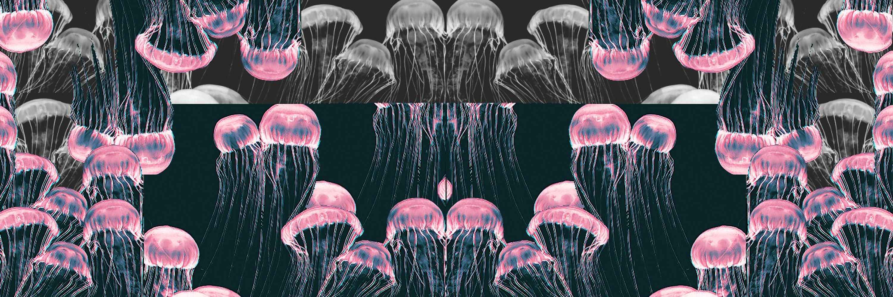 Squishy 🦑