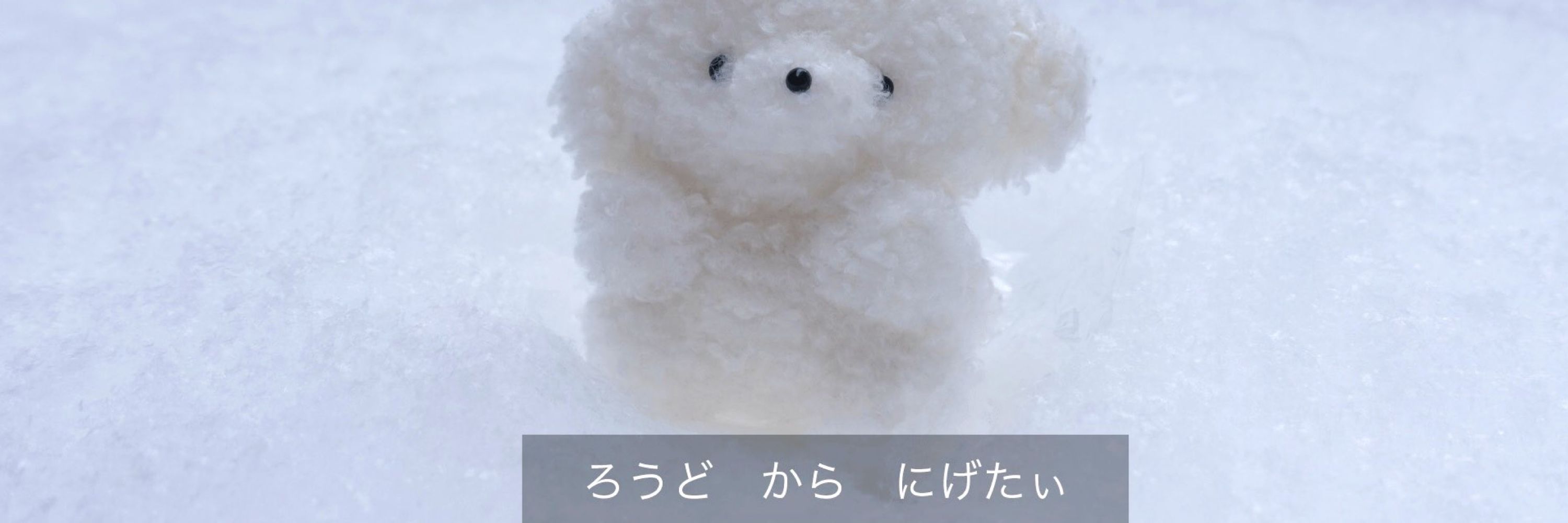 しろ💭