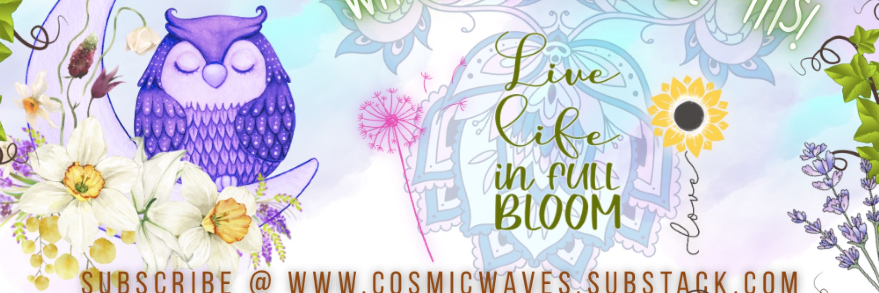 Cosmic Waves ༅
