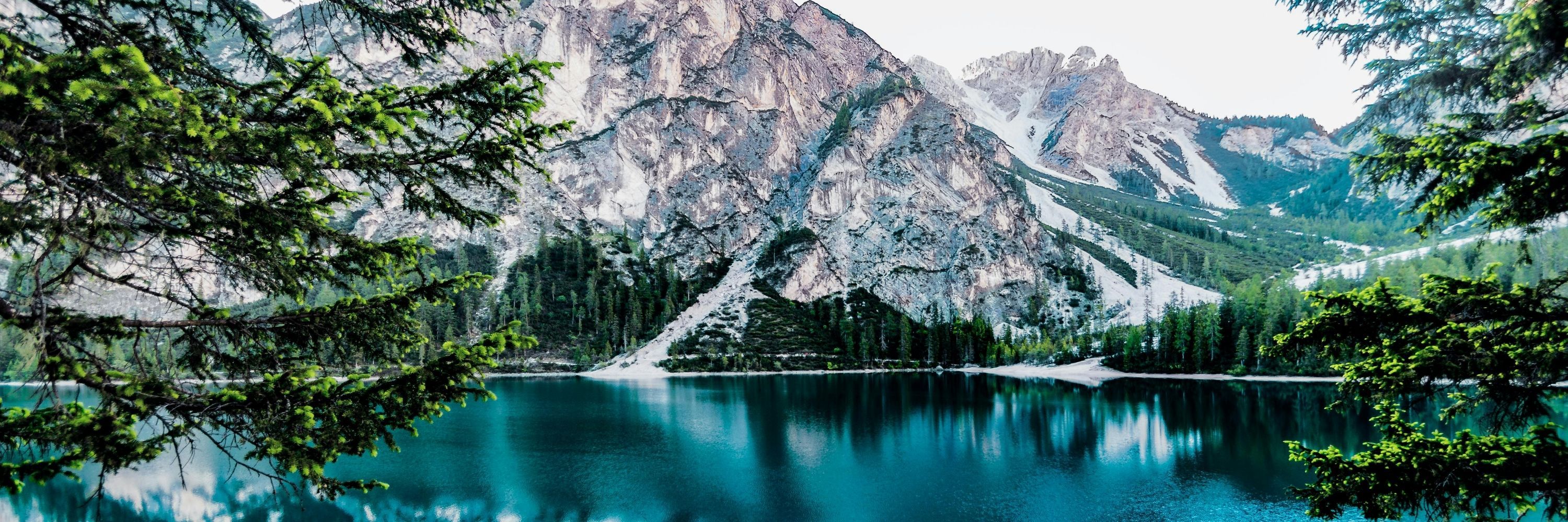 From the Avalanche!