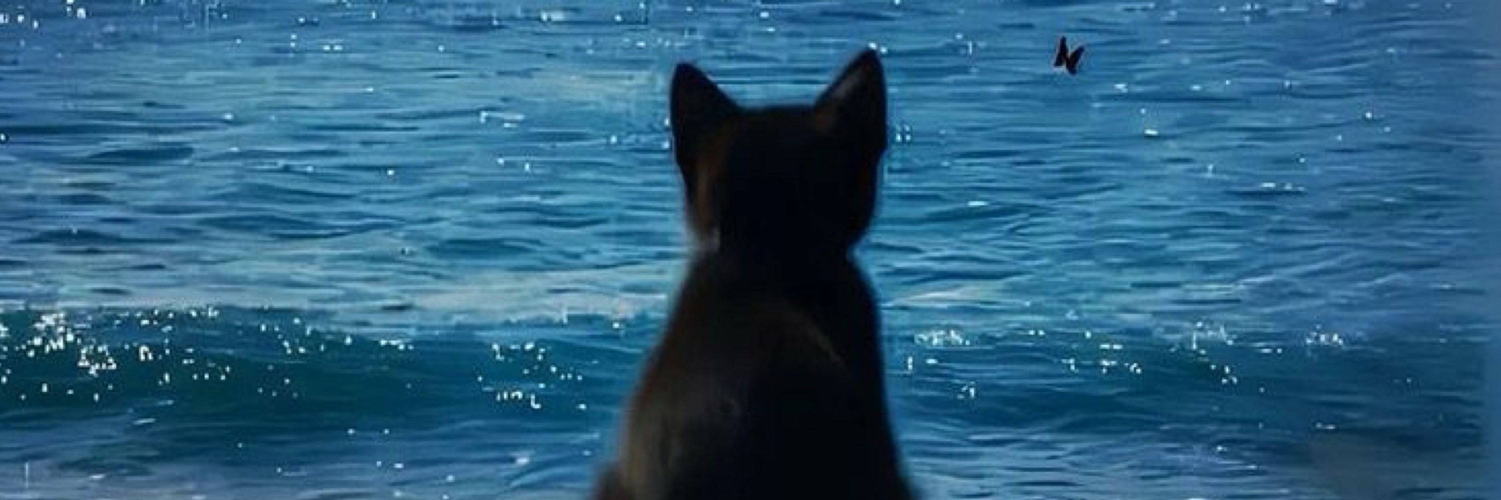 暴风雨米糕