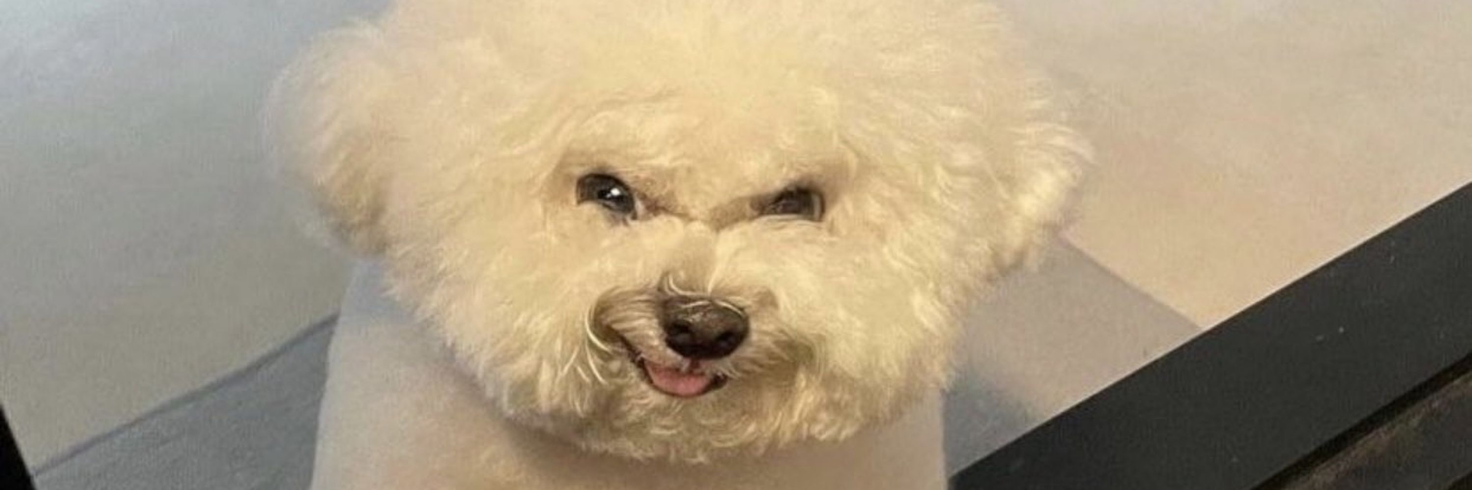 格林韋恩