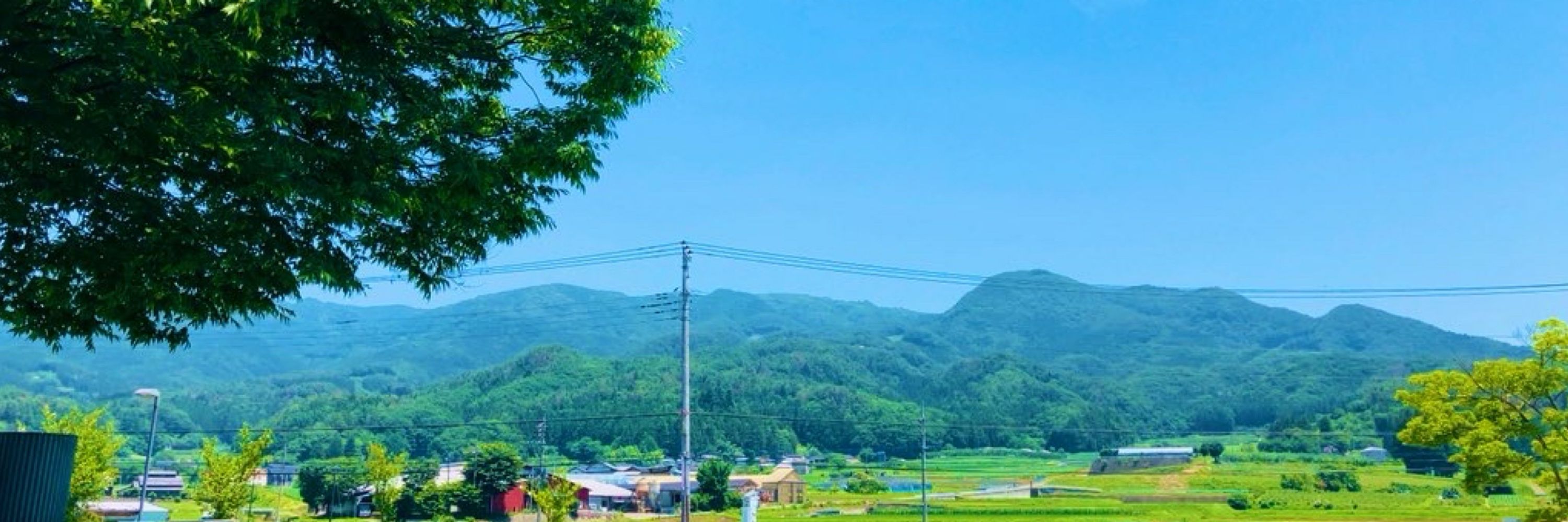ばん