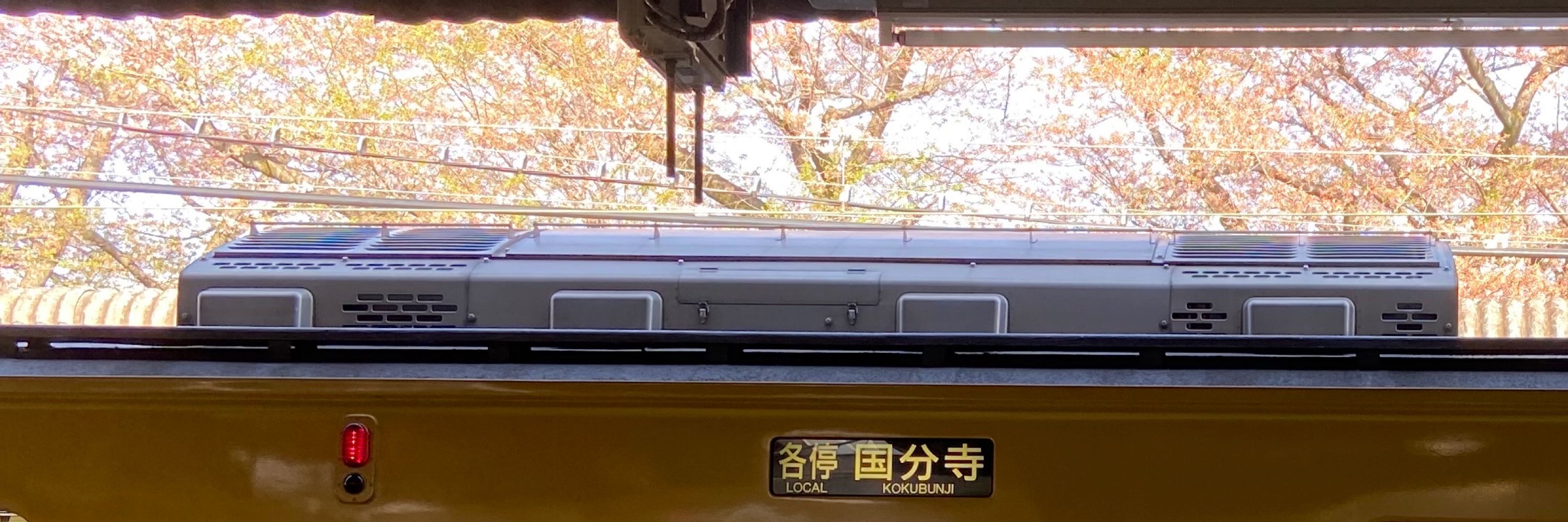 秋莉