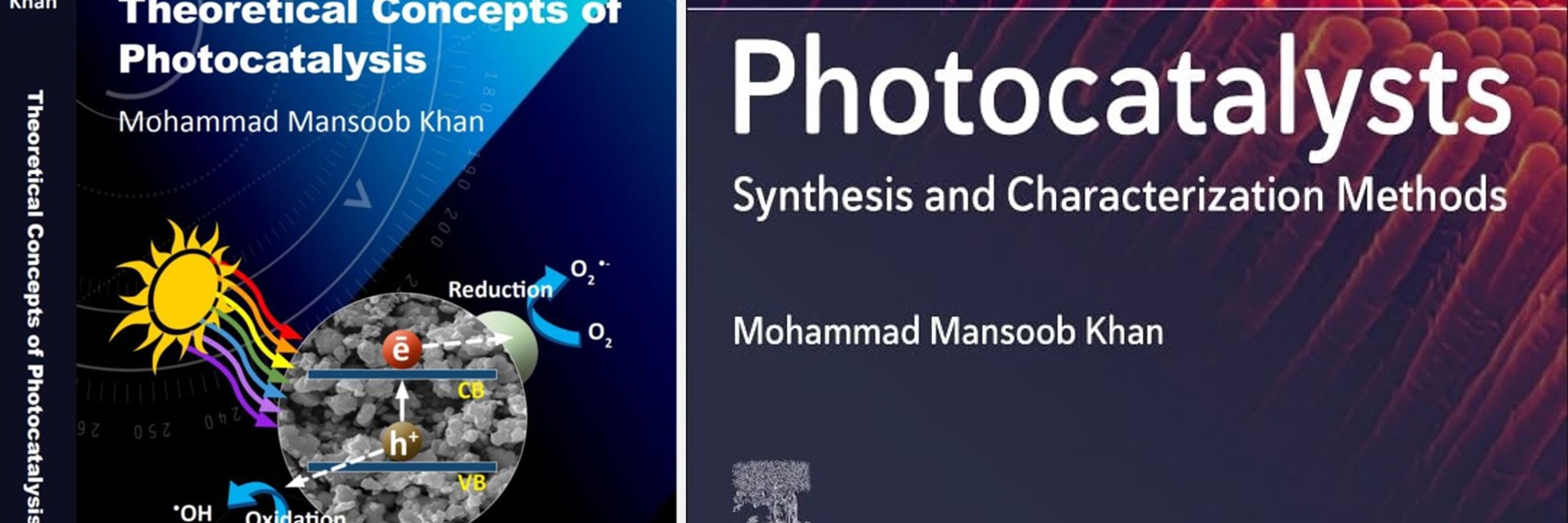 Professor Mohammad Mansoob Khan