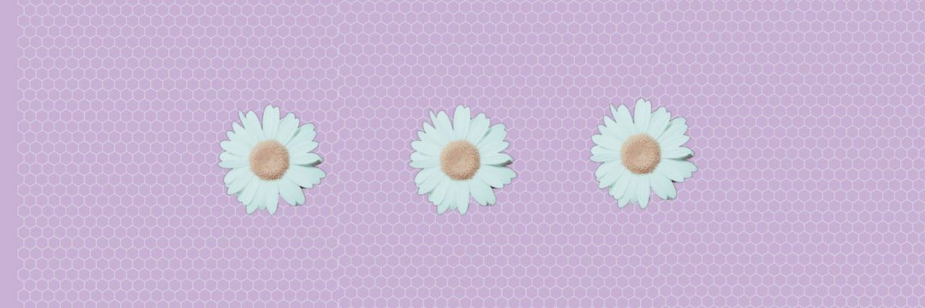 ❛❛𝑵𝒊𝒌𝒖𝒓𝒐 💜