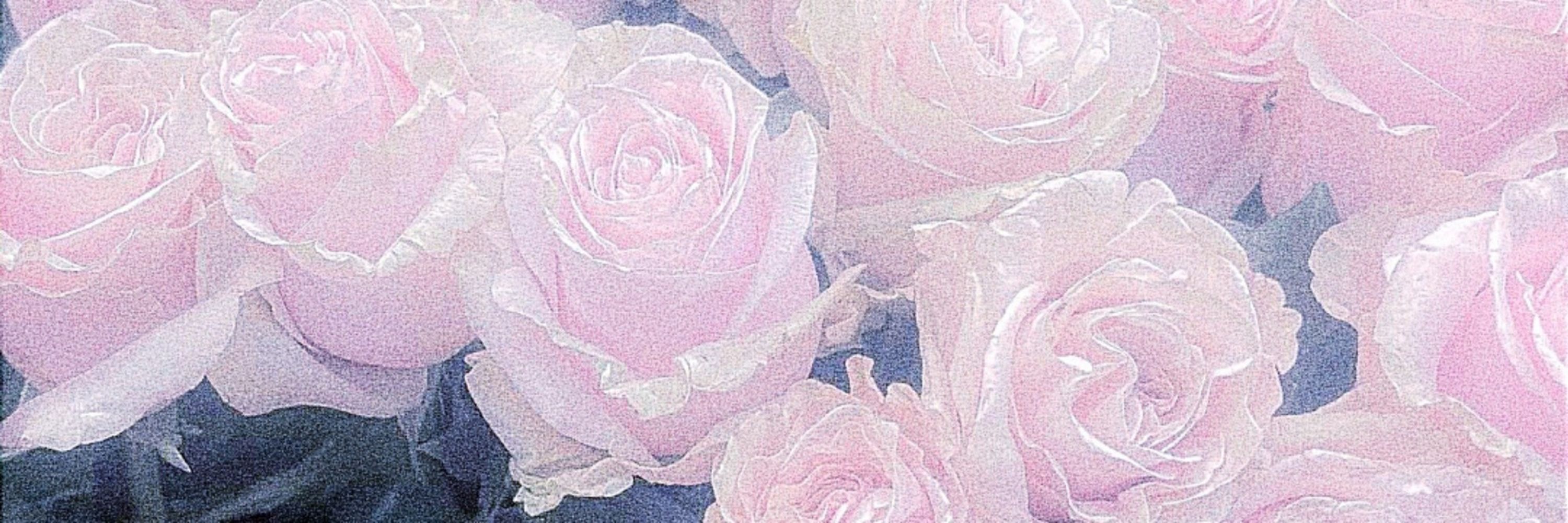 ꒰ა Gloomy ໒꒱
