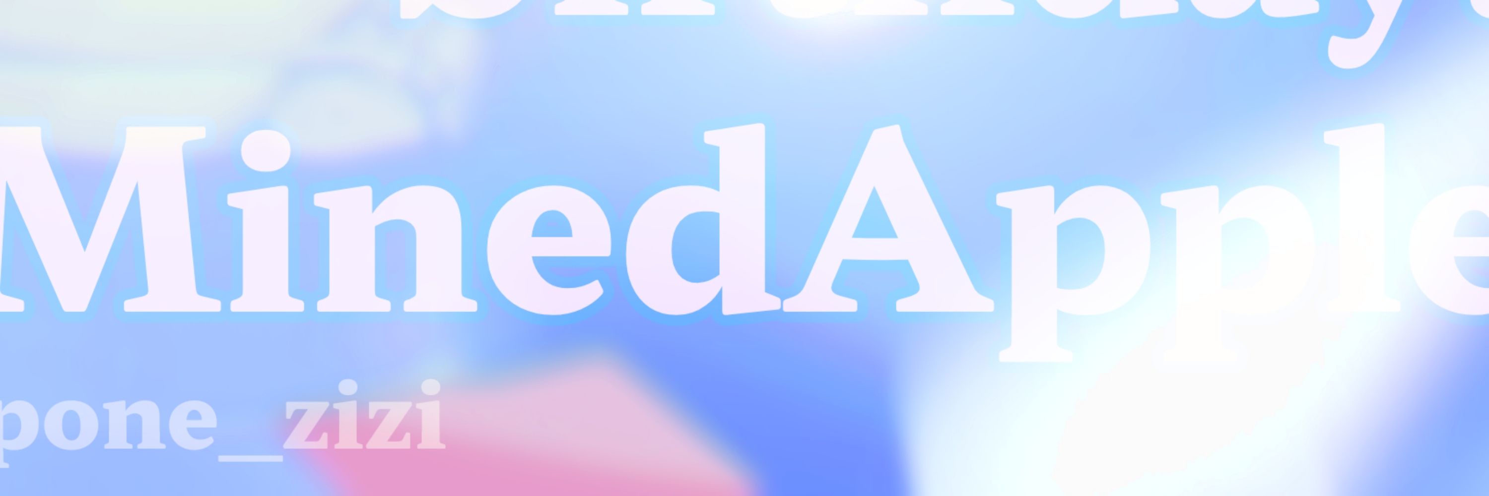 폰지지