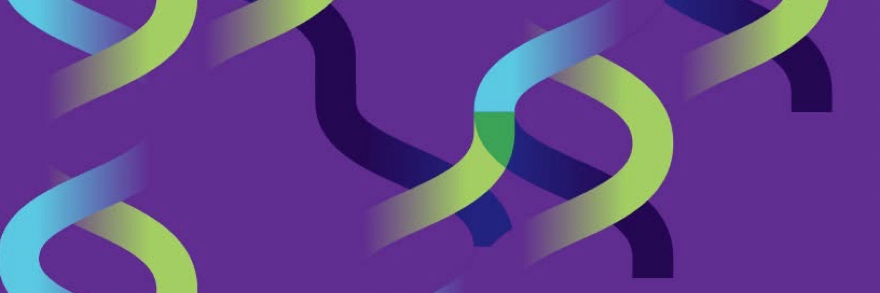 PURA Foundation Australia