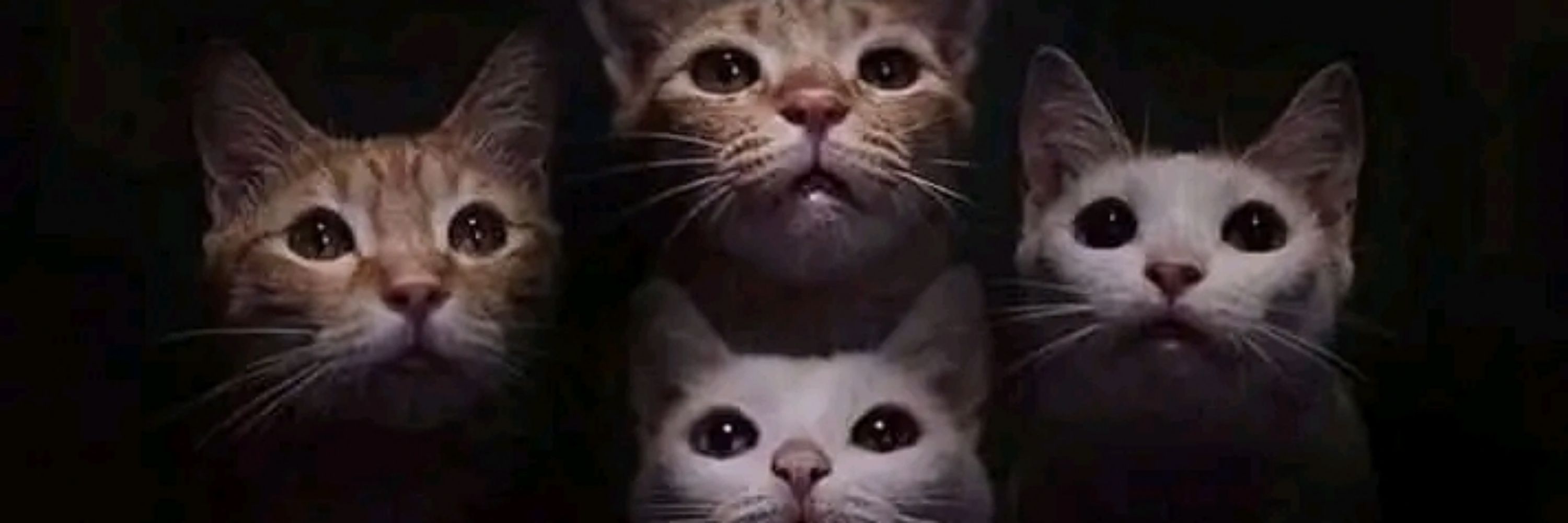 Nekoboy