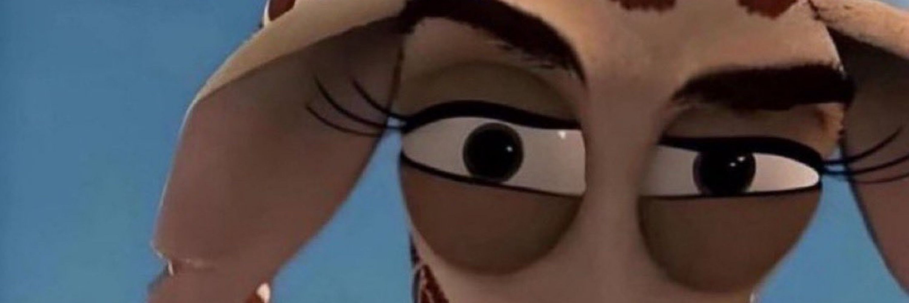Erk