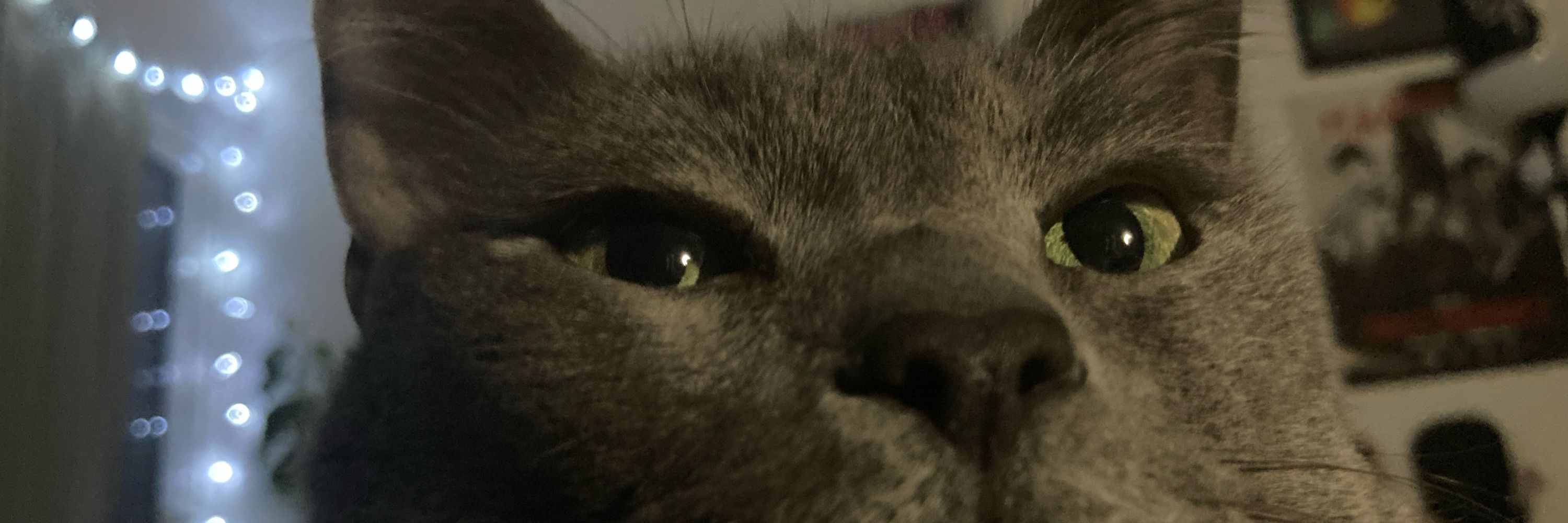 Luma 🔥
