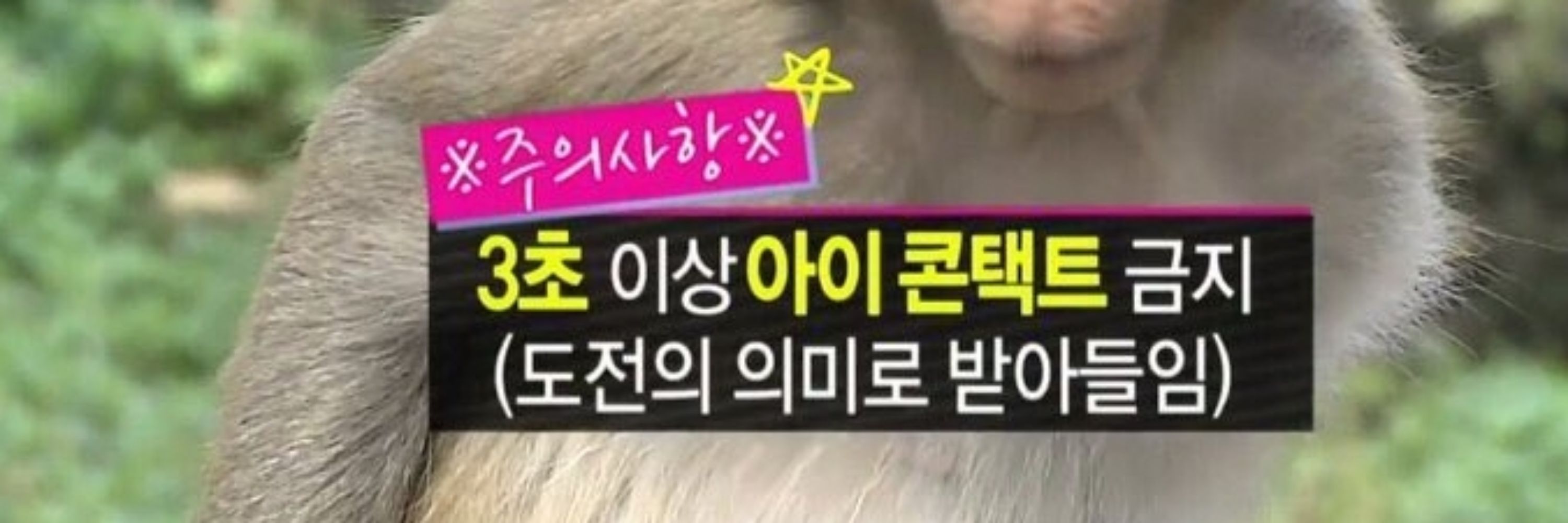 리븐놈🎗