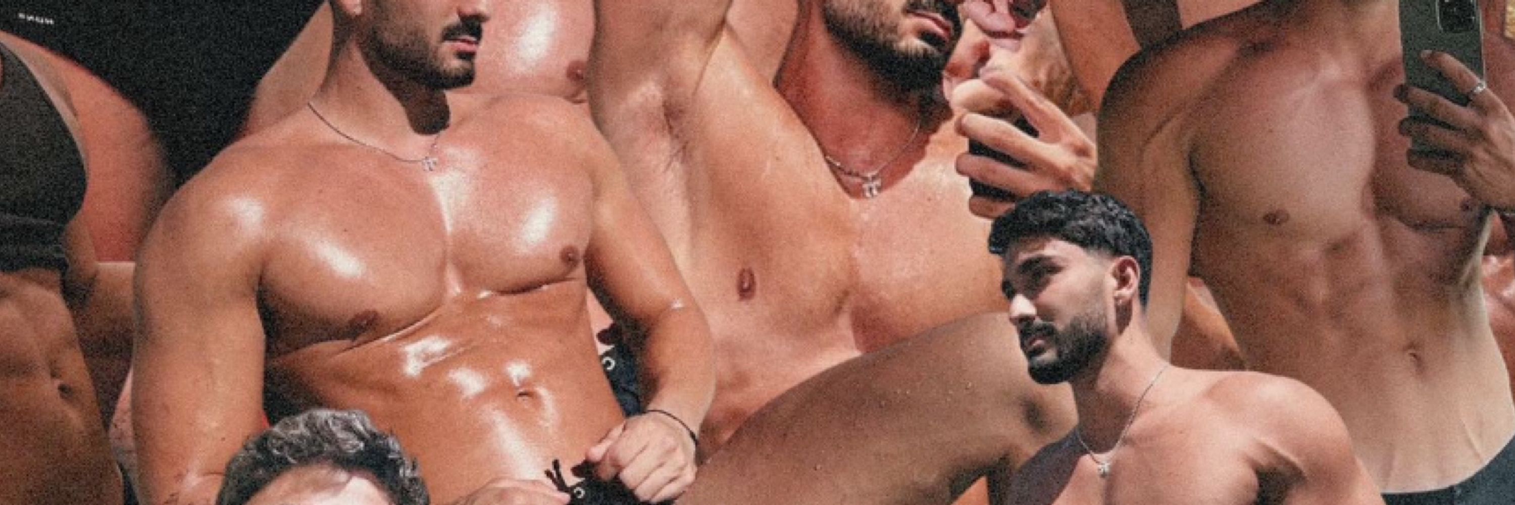 DOM — pedro.